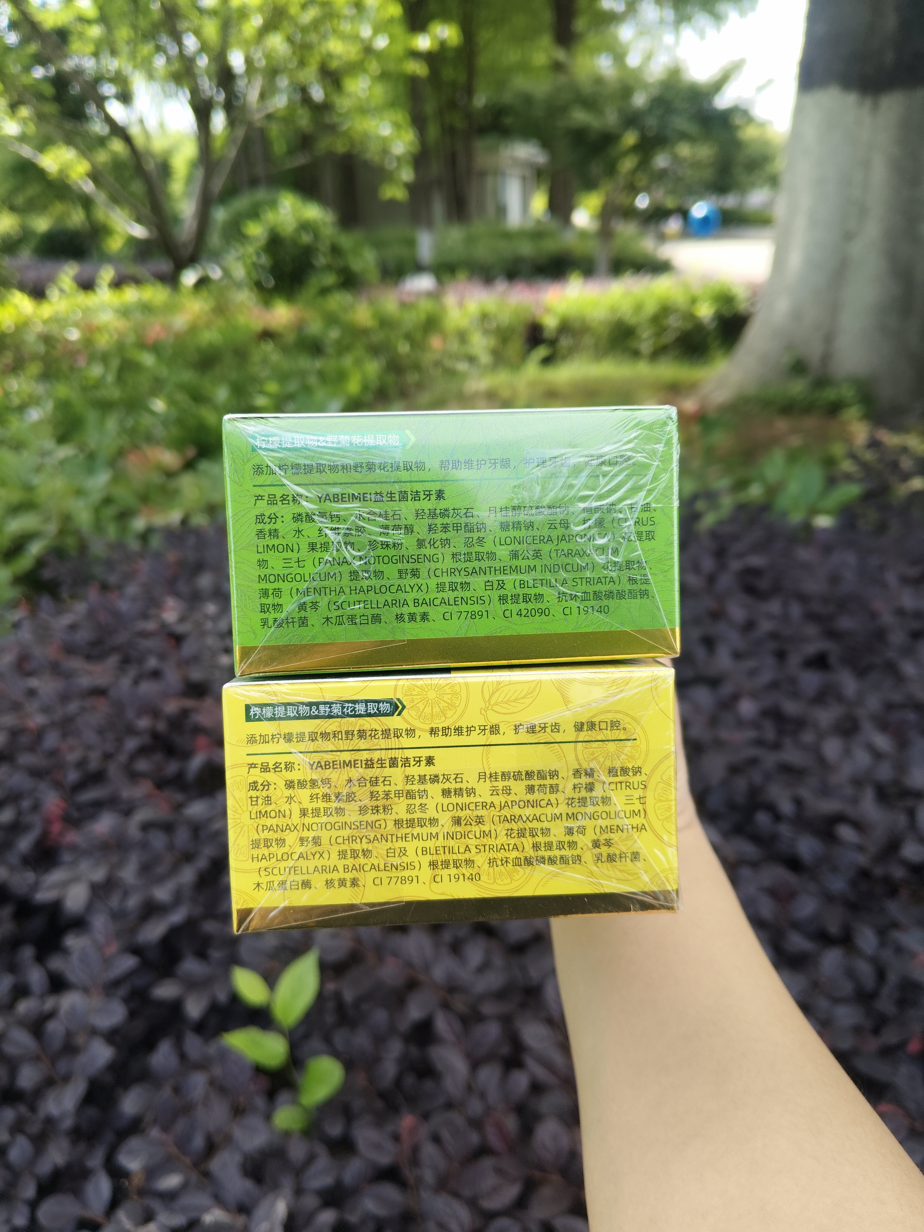 口气清新益生菌洁牙素