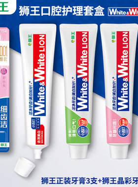 LION/狮王口腔护理牙膏牙刷套装 小苏打清洁护龈清新口气含氟牙膏