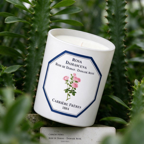 carriere freres法国植物学家cf香薰蜡烛大马士革玫瑰高级感节日
