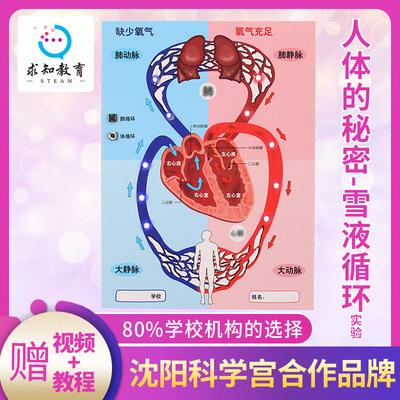 diy模型益智玩具秘密科学实验