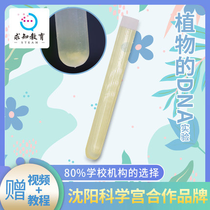 求知教育科技DIY小发明制作提取植物水果DNA中小学生物科学实验