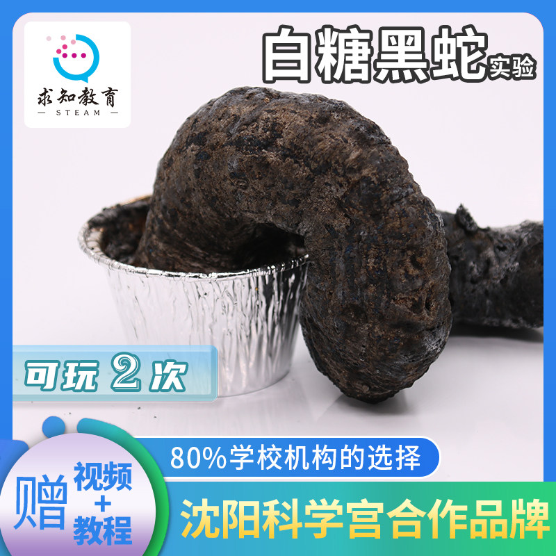 科学小实验法老之蛇实验玩具 白糖黑蛇魔术道具舞台表演小学生diy