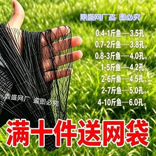 辣条黑色尼龙网加粗柔软单层庭院别墅果园山区防长虫养殖