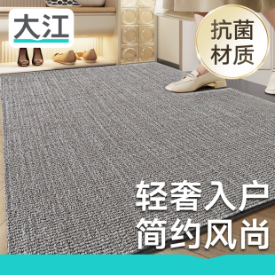 大江入户地垫高级感脚垫进门垫玄关高端门垫轻奢简约现代定制地毯