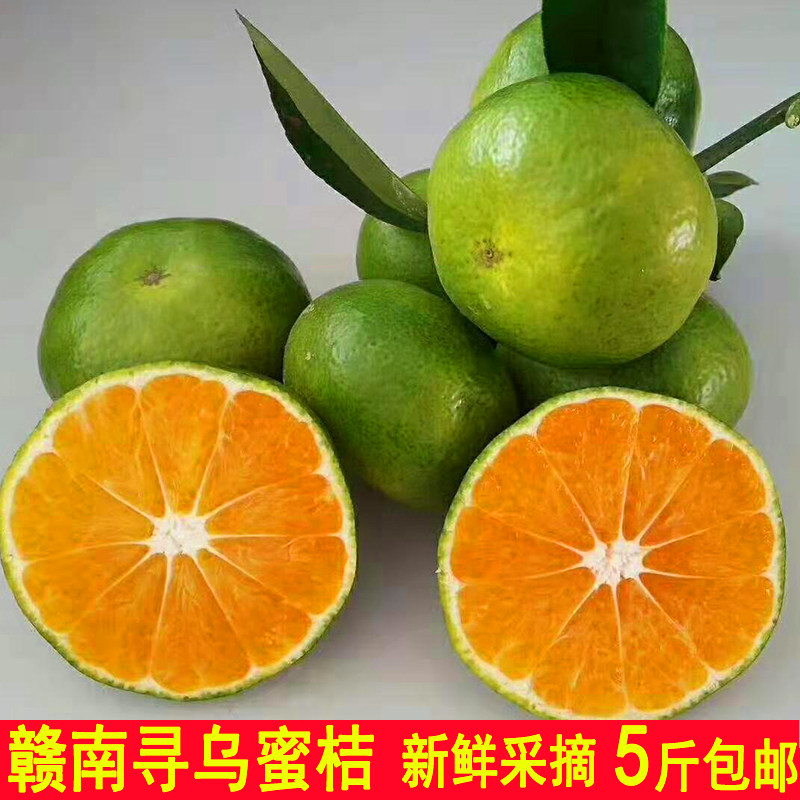 正宗赣南蜜桔现摘现发橘子薄皮寻桔子