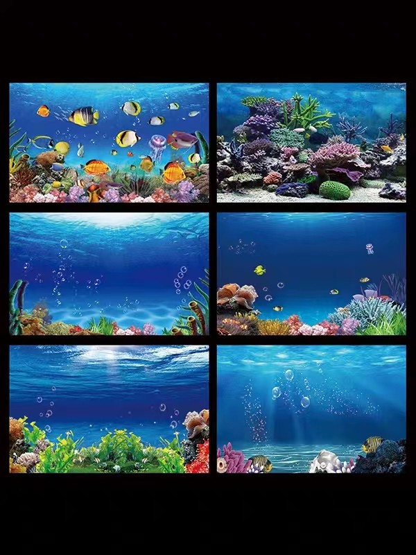 鱼缸背景纸画高清图3d立体壁纸海底世界海洋世界鱼缸背景