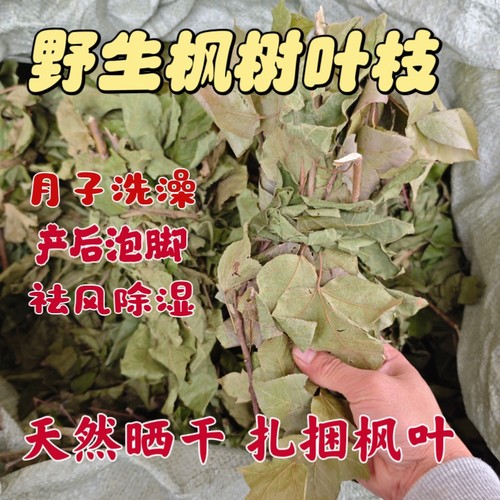 野生枫叶 天然晒干枫树叶客家坐月子草药包泡脚泡澡泡祛风湿 枫树
