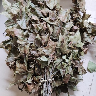 2025年枫叶干中药材 枫树叶新货无硫客家人坐月子洗澡常用药野生