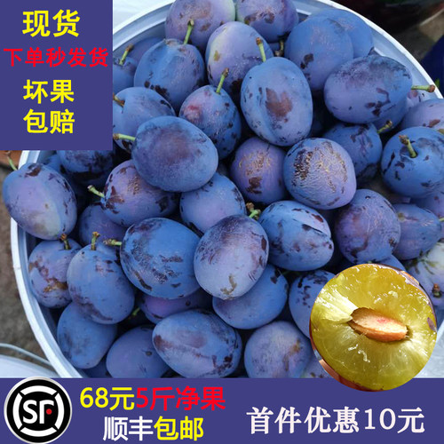 正宗新疆西梅新鲜水果当季法兰西整箱喀什孕妇鲜果5斤脆甜大李子