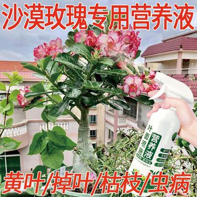 沙漠玫瑰专用营养液催花花爆盆急救黄叶枯枝掉叶虫咬养花通用肥