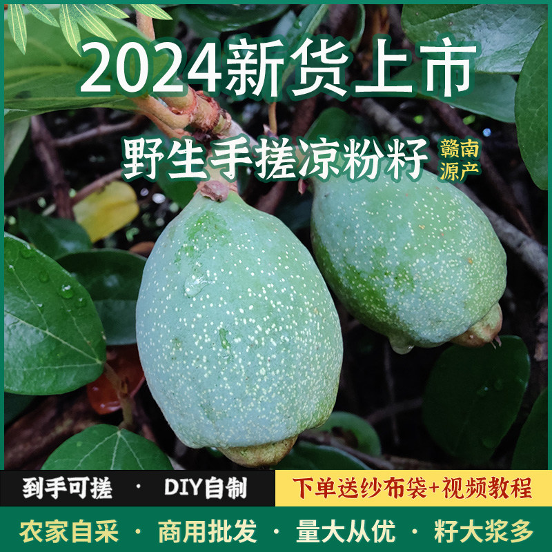 赣南特产 野生凉粉籽 手搓冰粉籽薜荔果爱玉凉粉果籽250g冰籽