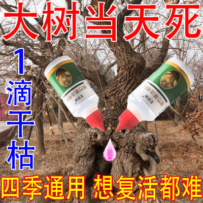 强力除树剂灭树一针灵杀树烂根腐蚀剂枯树根专用药三滴大树死绝