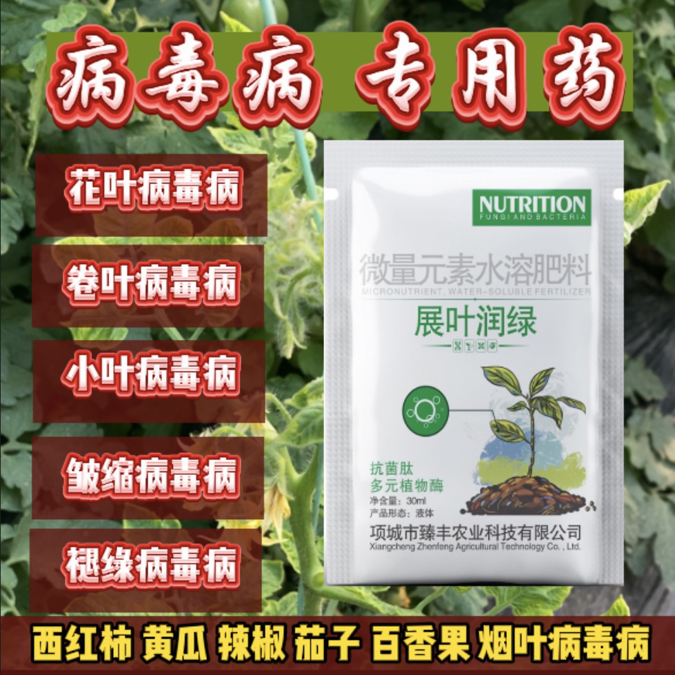 辣椒番茄花叶卷叶病毒病一次喷好