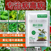 展叶润绿番茄辣椒病毒病克星花叶卷叶病毒葡萄卷叶黄叶小叶一遍净
