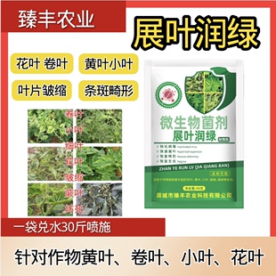 展叶润绿黄瓜辣椒番茄花叶卷叶小叶病毒病条斑黄化曲叶病毒