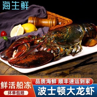 波士顿龙虾鲜活冷冻特大龙虾加拿大进口海鲜波龙深海捕捞冰鲜冷冻