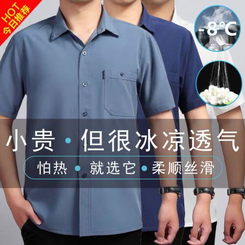 蚕丝冰丝中老年雪纺免烫衬衫