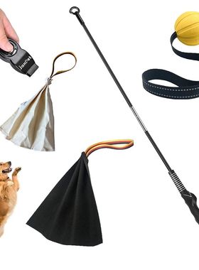 Interactive Flirt Pole for Dogs, Leather Bite Rag, Dog Chew