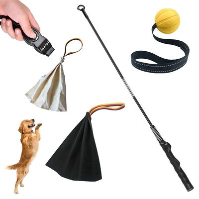 Interactive Flirt Pole for Dogs, Leather Bite Rag, Dog Chew