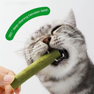 Cat Mouth Toy Pet Kitten Chew Stick Teeth Grass Healthy