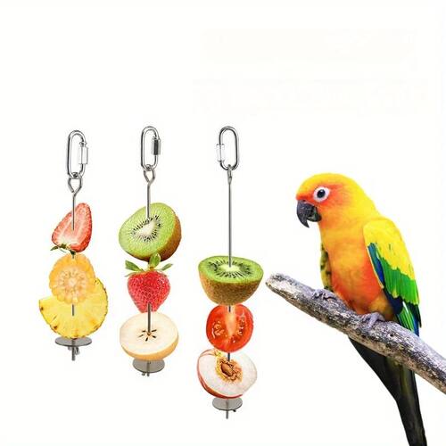 Stainless Steel Parrot Feeder for Hanging Fresh Vegetables a