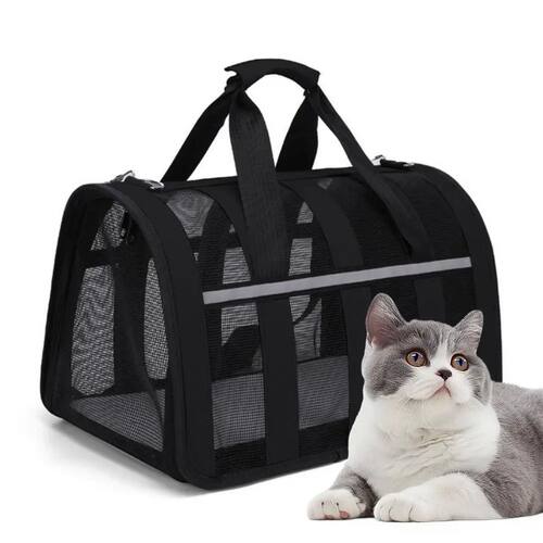 New Breathable Cat outing Bag for Pet Dog, Summer Skew Strad