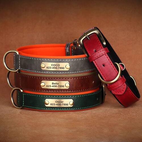 Personalized Customized Leather ID Nameplate Dog Collar Soft