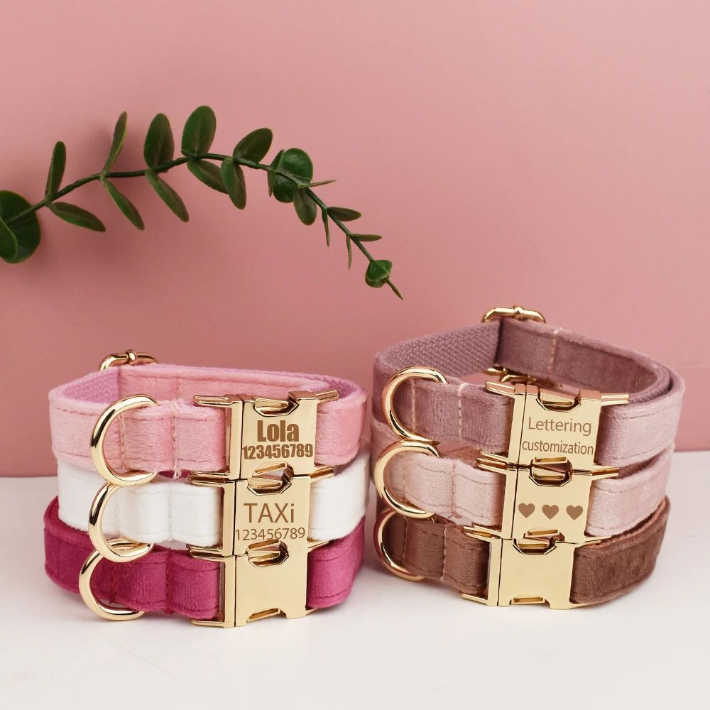 Velvet Collar Free Engrave Dog Collar Leash For Medium Big P