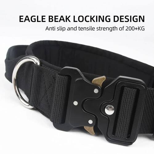 Dogs Harness Everything Pet Accessories Dog Leashes Collars