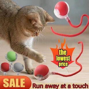 Training Interactive Electric Cat Kitten Self Ball moving