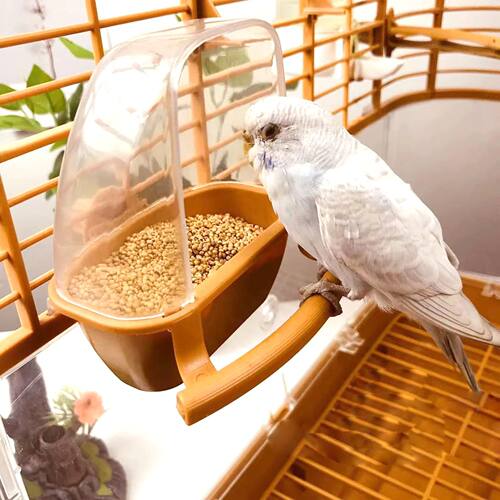 Bird Cage Feeder Parrot Birds Water Hanging Bowl Parakeet Fe