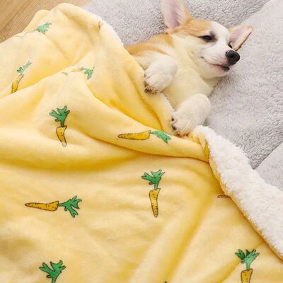 Pet Cat and Dog Winter Sleeping Mat Blanket Pet Blanket Soft
