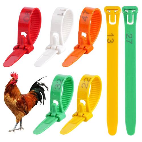 50PCS/100PCS Chicken Foot Rings 5 Color Diameter Chicken Pou