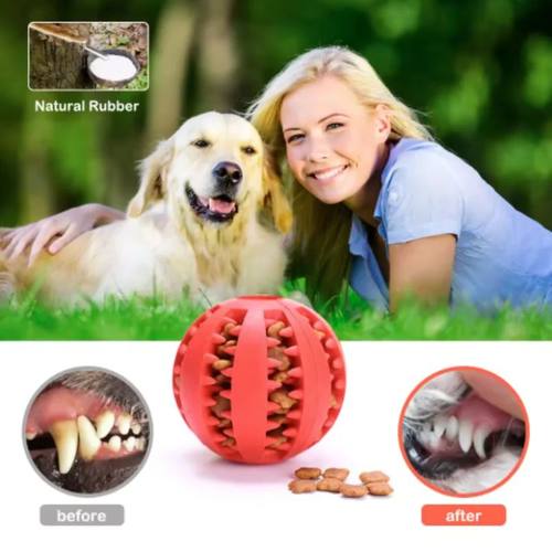 Dog Toy Ball Interactive Rubber Balls Puppy Chewing Toys Pet