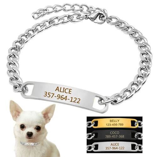 Customized Cat Chain Collar Free Engraved Puppy Kitten ID Na