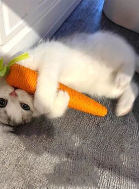 Cat Toys Sound Carrot Cuddle cat stick since fun fun cat tee