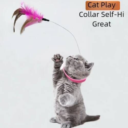 Interactive Feather Bell Cat Toy with New Collar Self-Entert