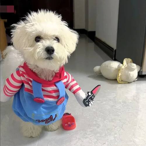 Funny Halloween Dog Clothes for Small Medium Dogs Knife Hold