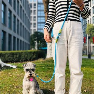 Pet Leads Nylon Rope Reflective Traction Dogs Leashes Chain