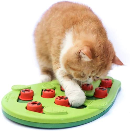 Rainy Day Puzzle & Play - Interactive Cat Treat Puzzle Cat T