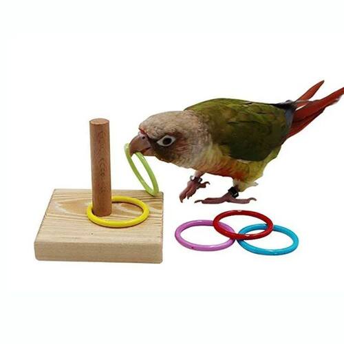 Bird Training Ring Toy Parrot Educational Toys Training Inte