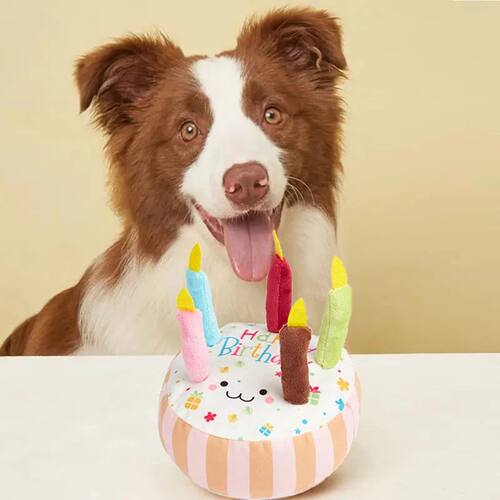 Birthday Cake Pet Dog Soundmaking Interest Toys Bite Resista