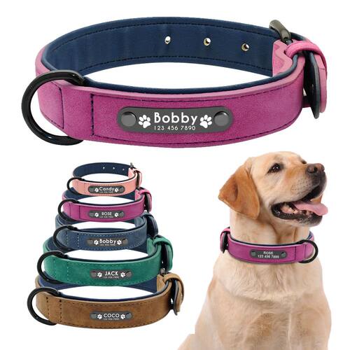 Personalized Dog Collar Leather Dog Collars Inner Padded Pet