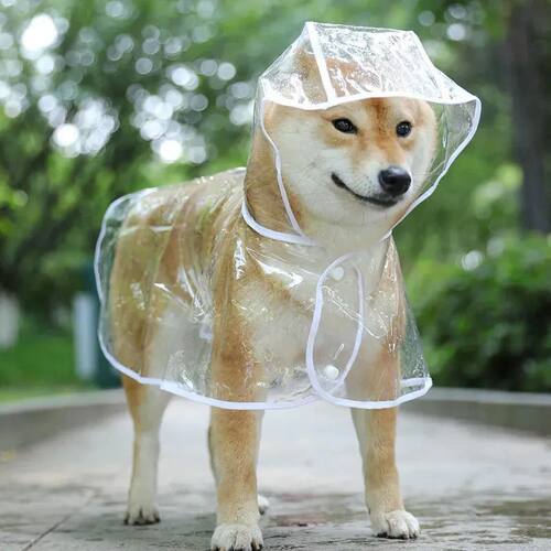 Pet Dog Puppy Transparent Rainwear Raincoat Pet Hooded Water