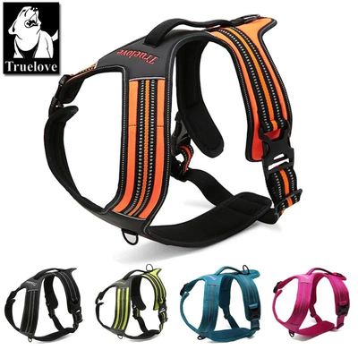 Truelove Sport Nylon Reflective No Pull Dog Harness Outdoor