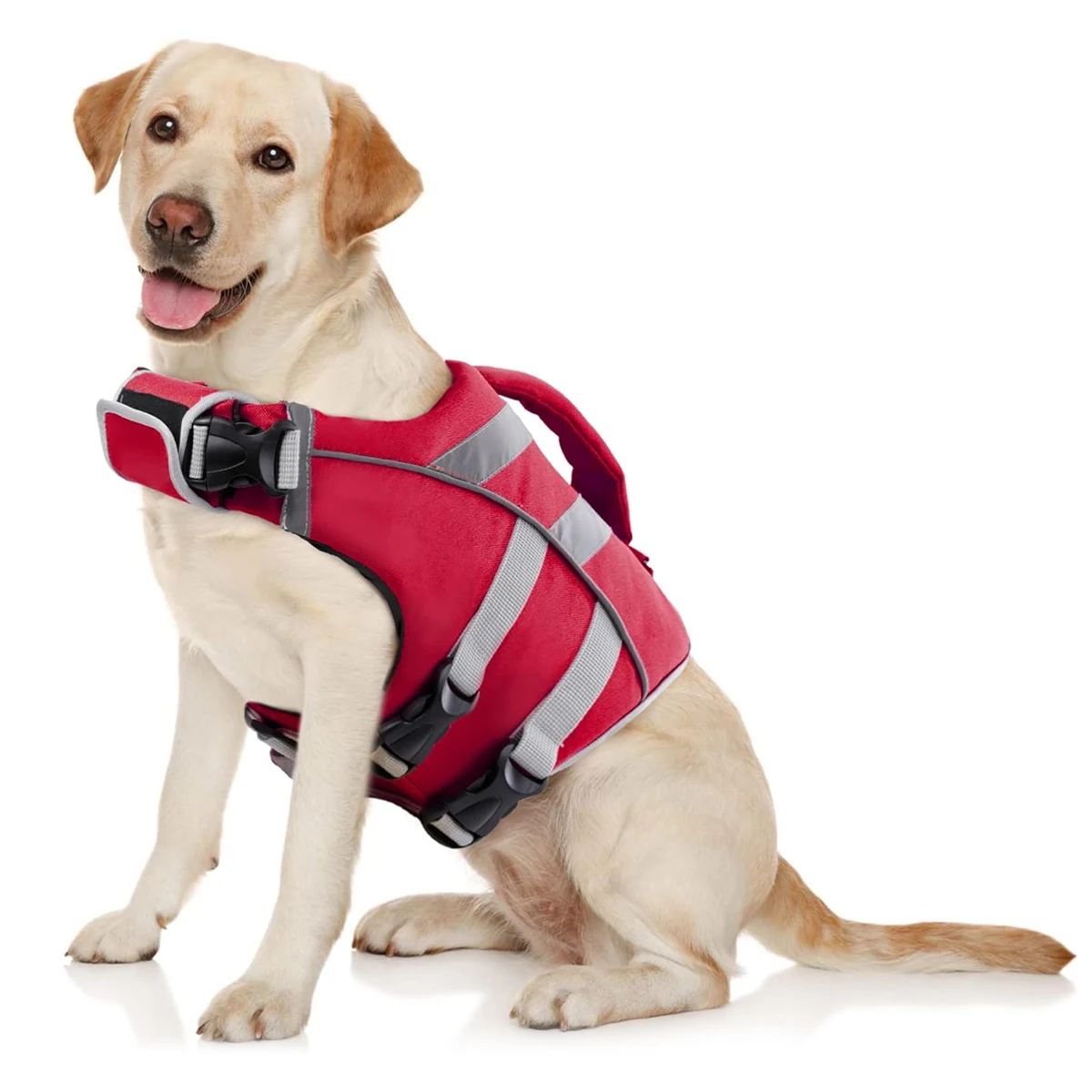 Ensure Your Dog's Water Adventures are Safe and Stylish: Pre