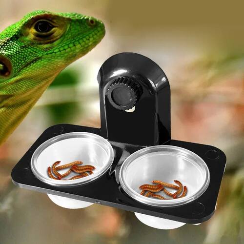1pcs Reptile Tank Insect Spider Ants Nest Snake Gecko Food W