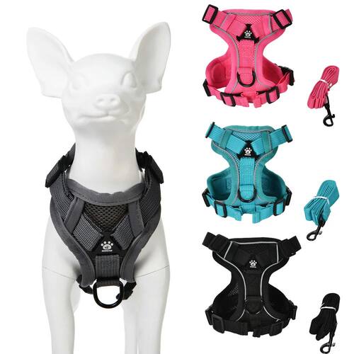 Dog Harness Leash Set For Small Medium Dogs Cat Hiking Puppy