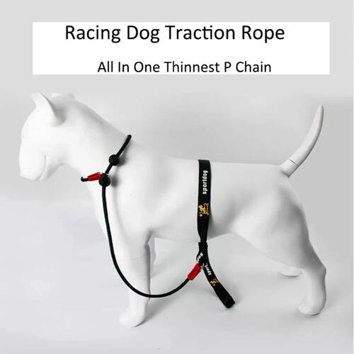 Training Dog Choking Rope Leash 2 in 1 Lead Collar 150cm P-S