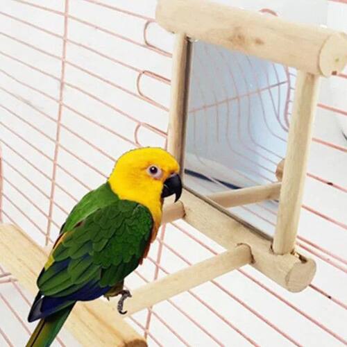 Bird Mirror Toy with Perch Stand for Parrot Budgie Parakeet